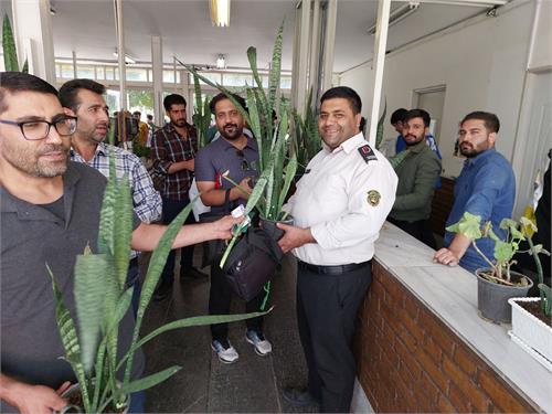 توزیع ۱۵۰۰ گلدان به مناسبت میلاد پیامبر اکرم (ص) در شرکت صنایع آذرآب